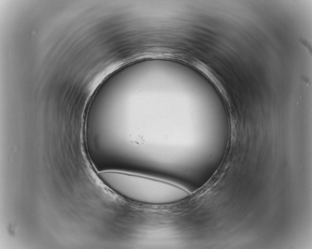 X0000103300861200808291129