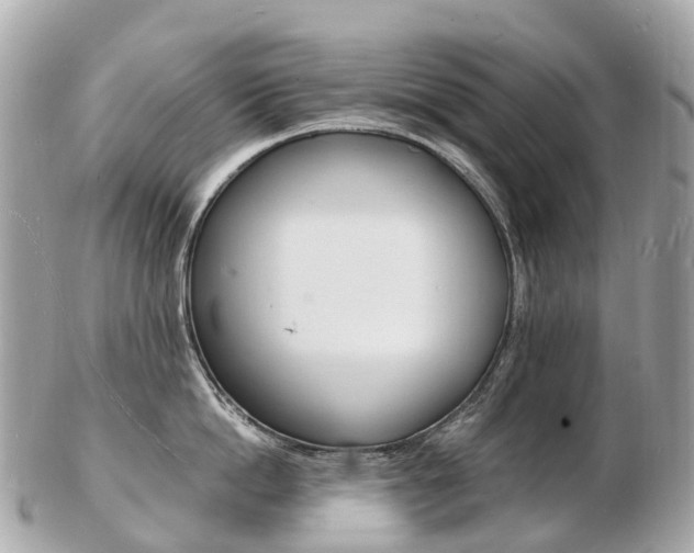 X0000103300862200808291129