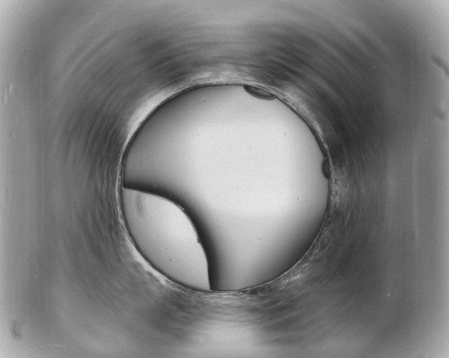 X0000103300863200808291129