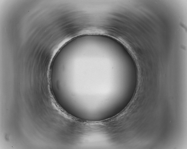 X0000103300864200808291129
