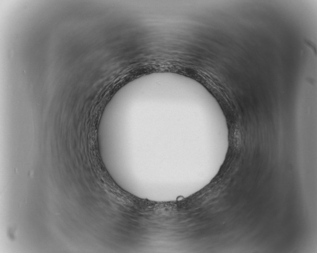 X0000103300865200808291128