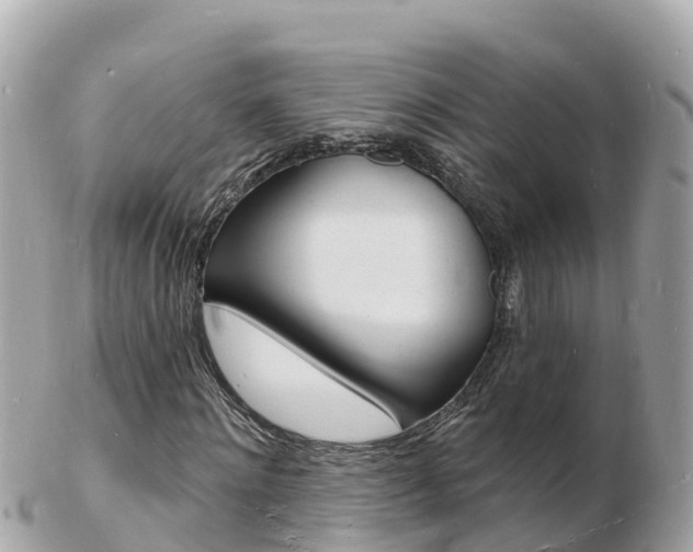 X0000103300868200808291128