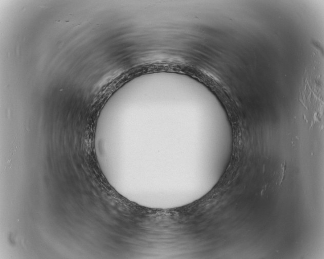 X0000103300869200808291128