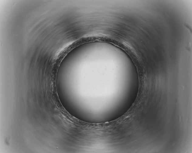 X0000103300872200808291128