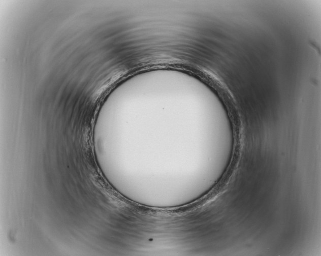 X0000103300873200808291128