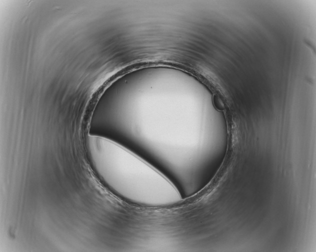 X0000103300876200808291128
