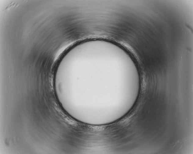 X0000103300878200808291128