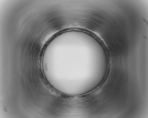 X0000103300879200808291128