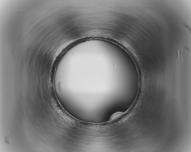 X0000103300880200808291128