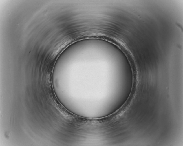 X0000103300881200808291128