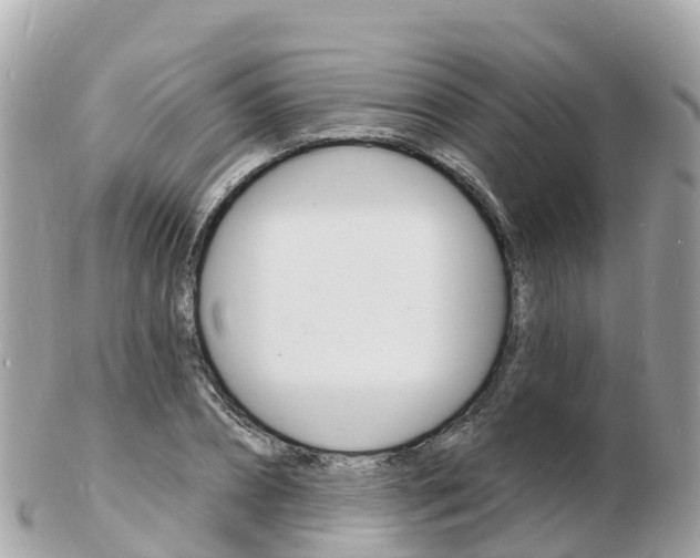 X0000103300882200808291128