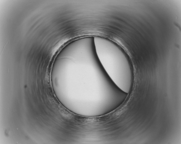 X0000103300883200808291128