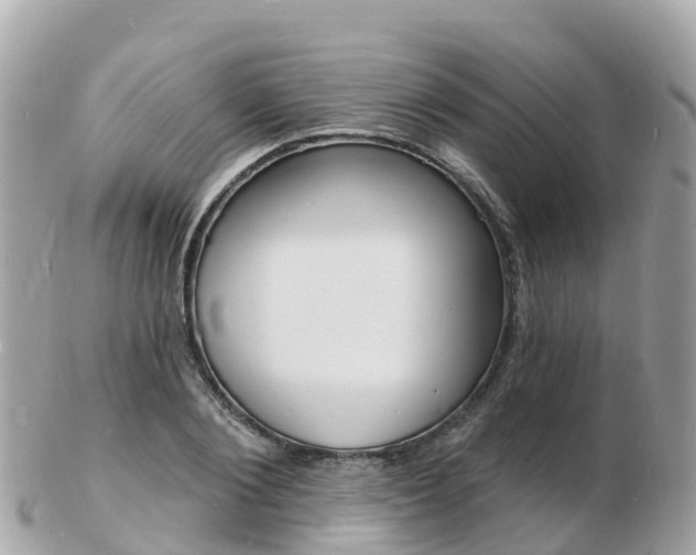 X0000103300884200808291128
