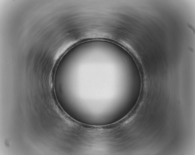 X0000103300885200808291128