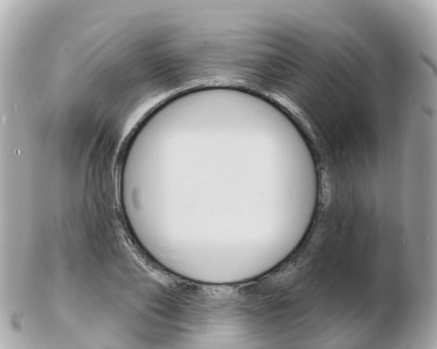 X0000103300886200808291128