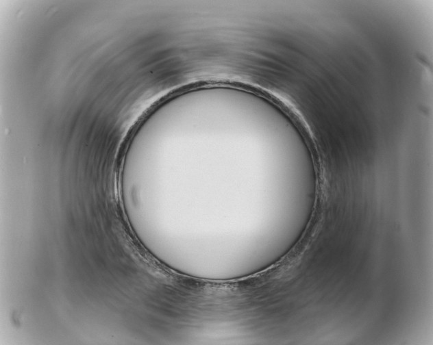 X0000103300887200808291128