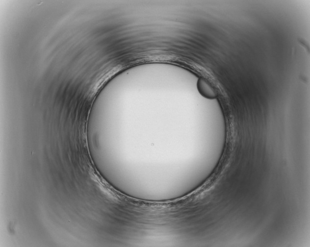 X0000103300889200808291128