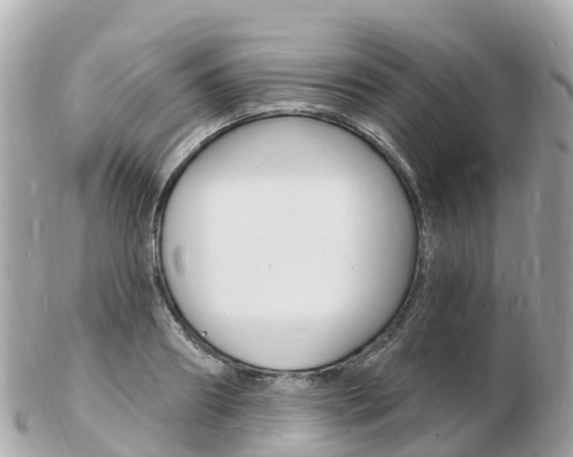 X0000103300890200808291128