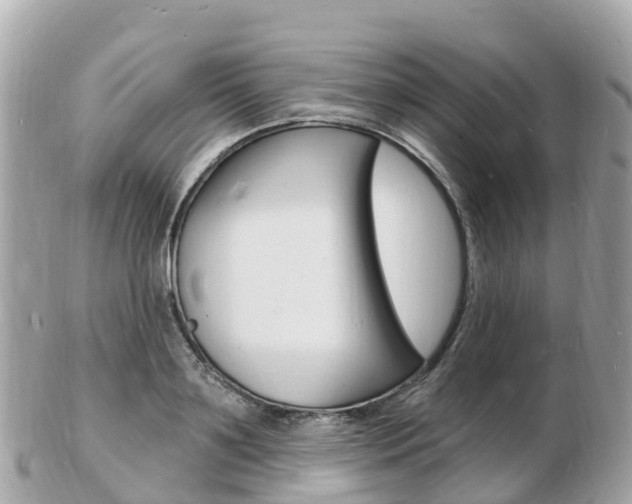 X0000103300891200808291128