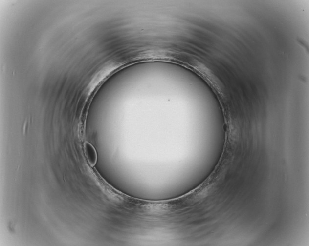 X0000103300893200808291128