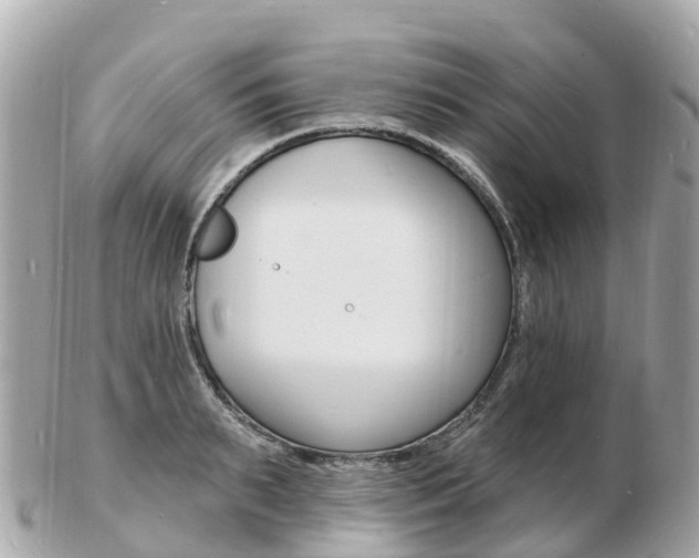 X0000103300895200808291128