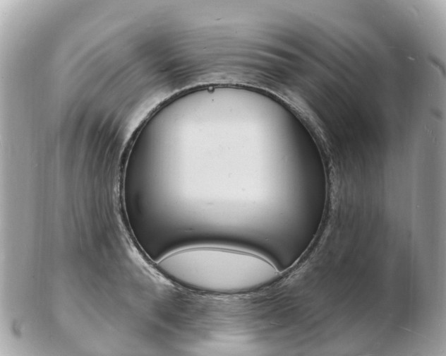 X0000103300896200808291128