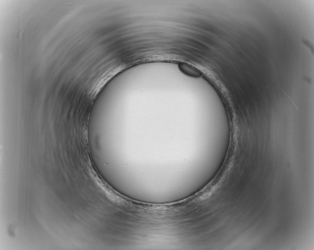 X0000103300897200808291128