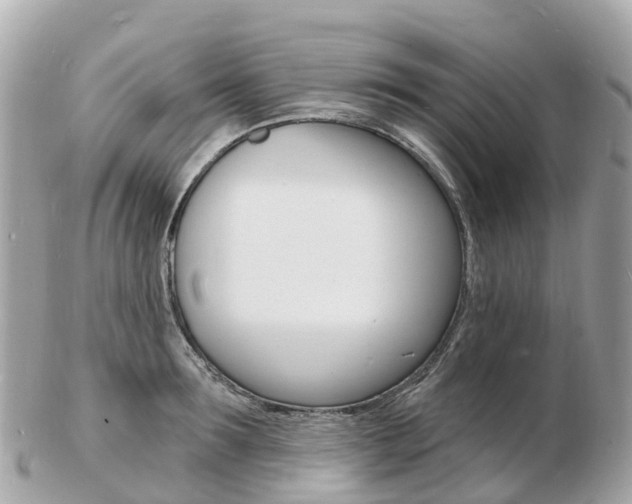 X0000103300899200808291128