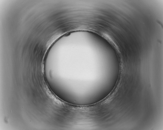X0000103300900200808291128