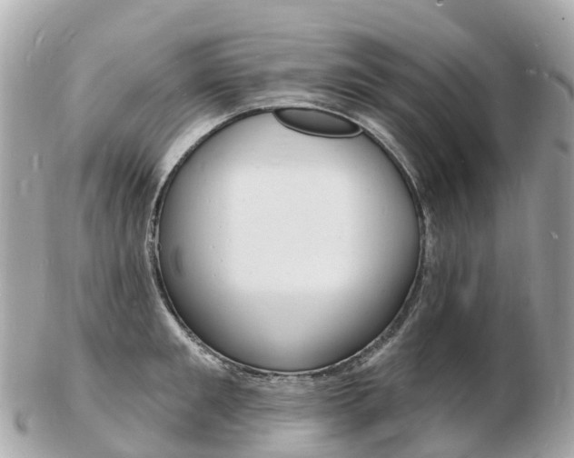 X0000103300901200808291128