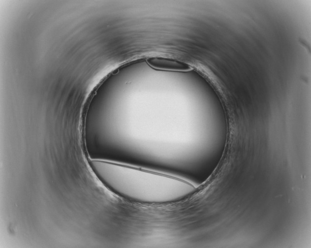 X0000103300902200808291128