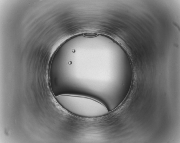 X0000103300904200808291128