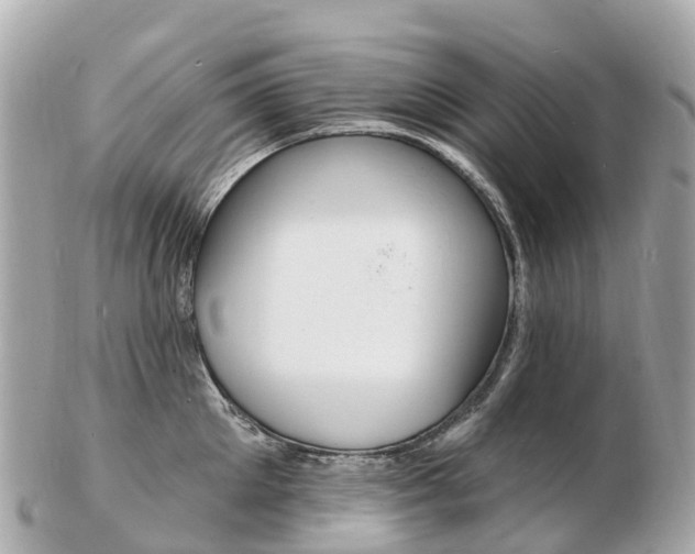 X0000103300905200808291128