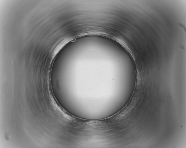 X0000103300906200808291128