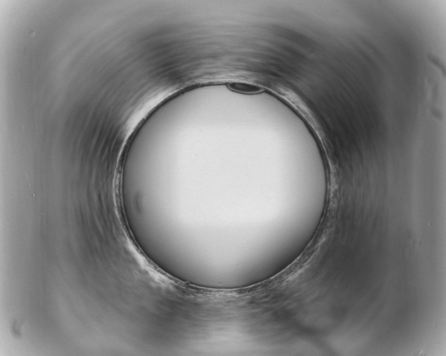 X0000103300909200808291128