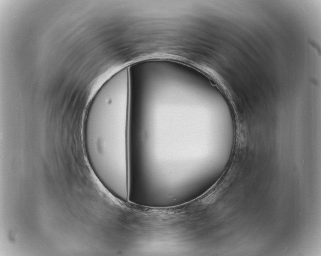 X0000103300910200808291128