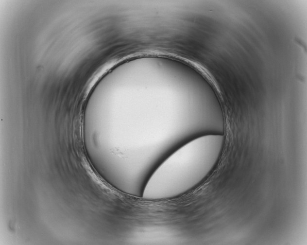 X0000103300911200808291128
