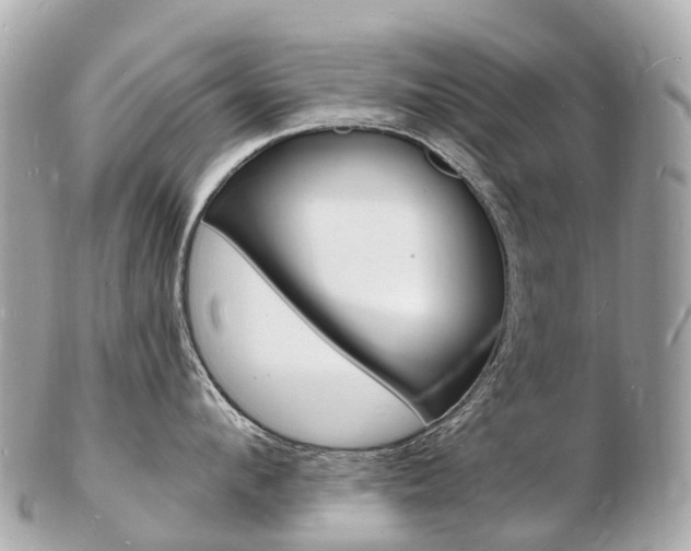 X0000103300912200808291128