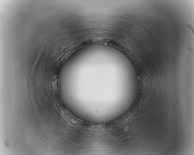 X0000103300914200808291127