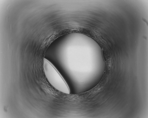 X0000103300916200808291127
