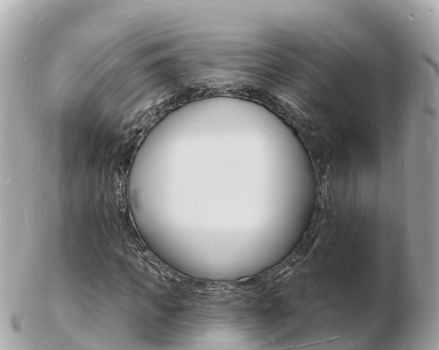 X0000103300917200808291127
