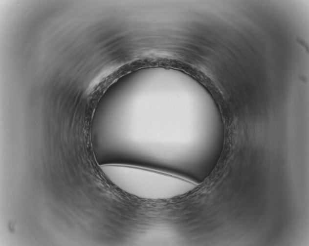 X0000103300919200808291127