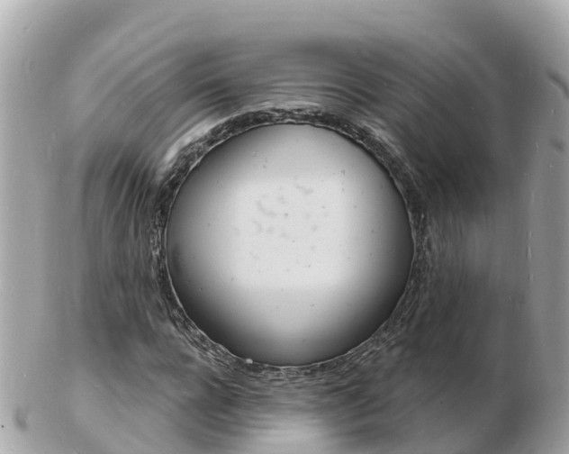 X0000103300920200808291127