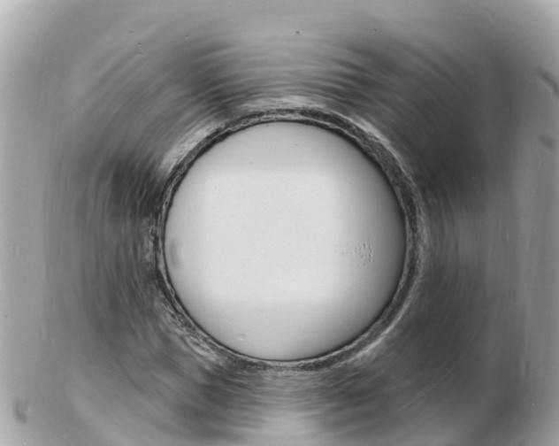 X0000103300921200808291127