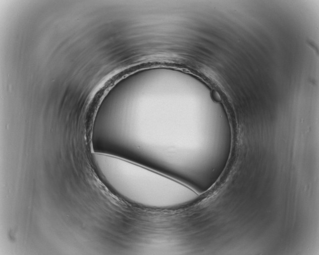 X0000103300923200808291127