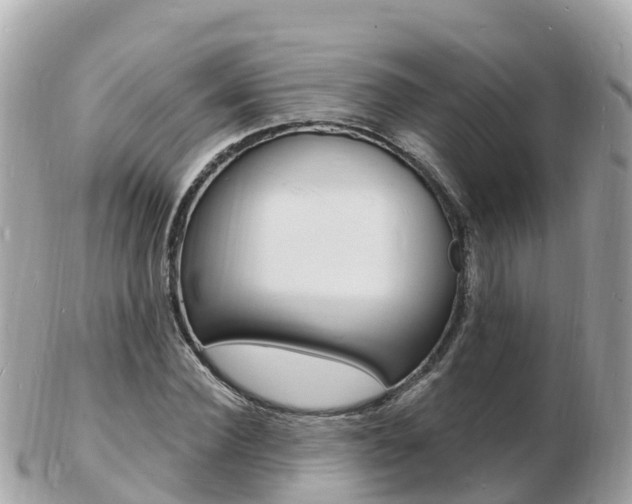X0000103300924200808291127