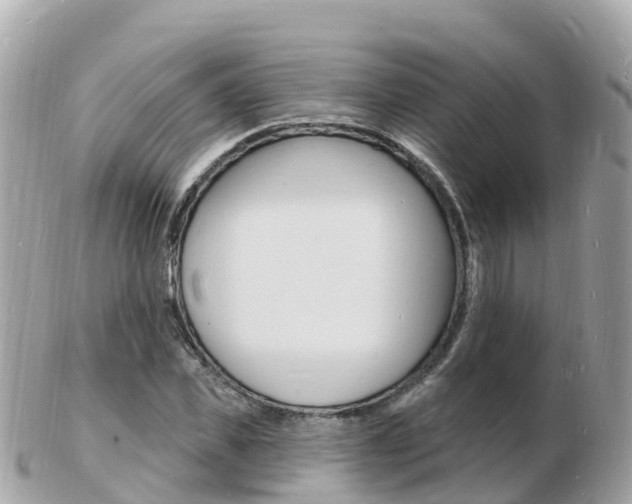 X0000103300925200808291127