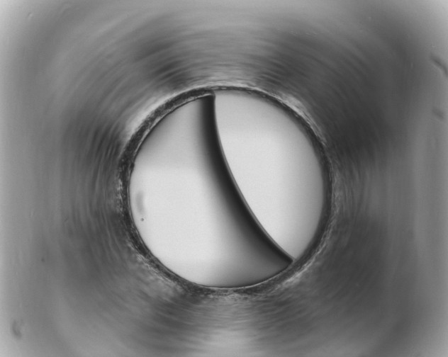 X0000103300926200808291127
