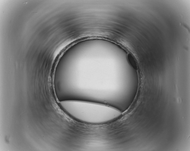 X0000103300928200808291127