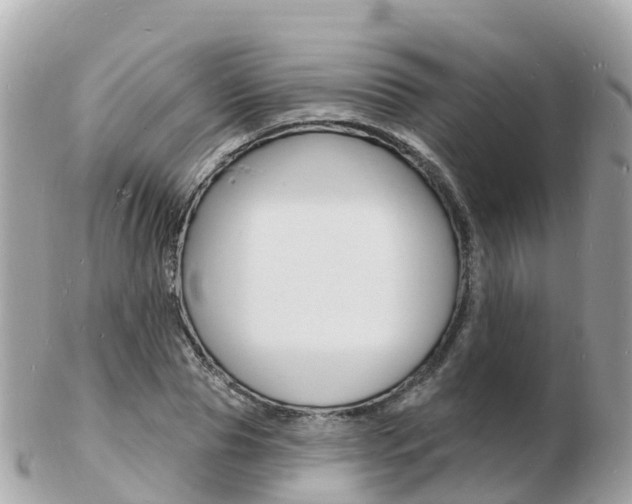 X0000103300929200808291127